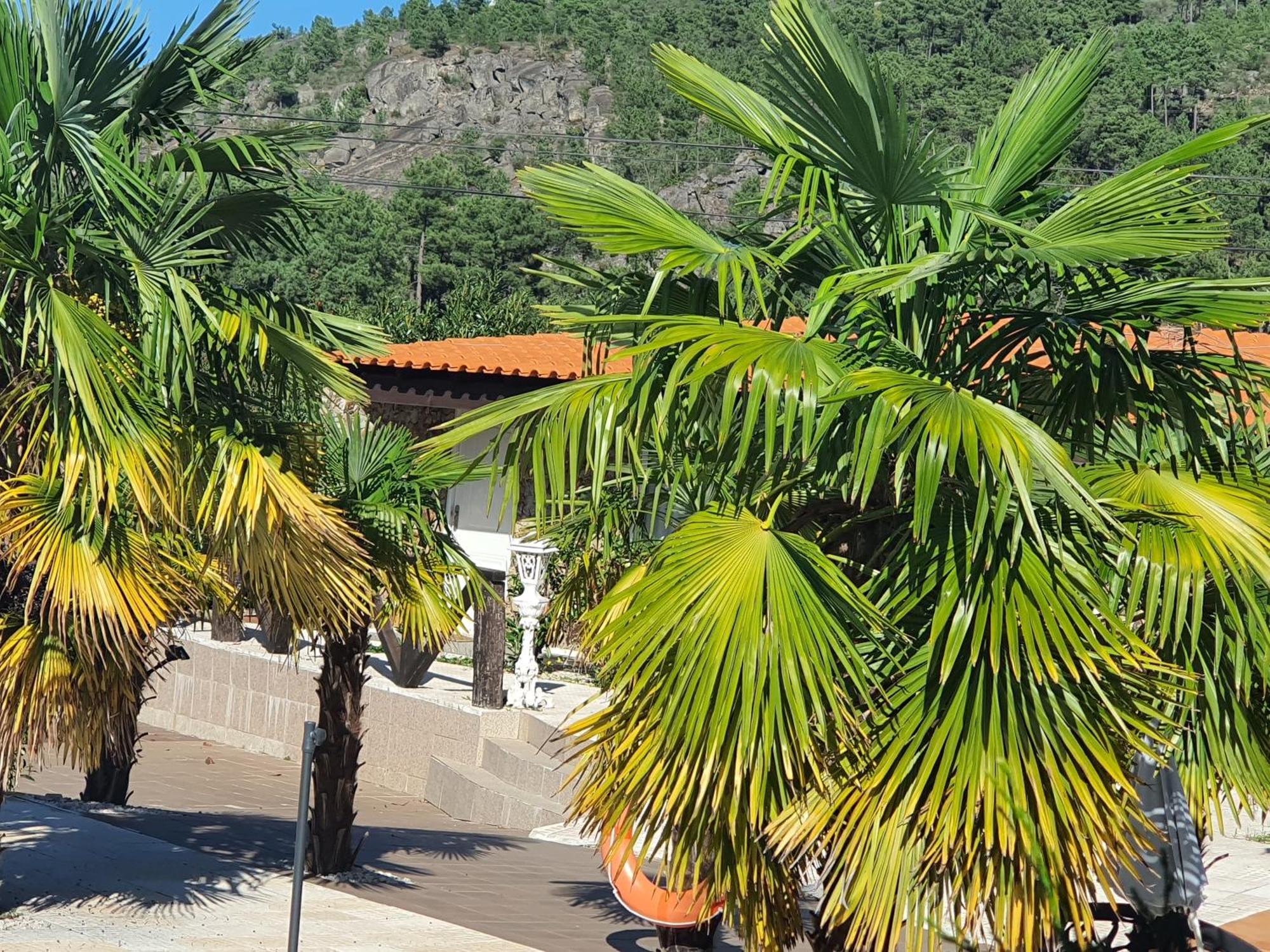 Gojim Casa Rural Armamar Dış mekan fotoğraf